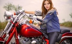 草莓污成视频人app下载